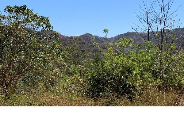 Potrero, ,Lots / Land,Under Contract,1038