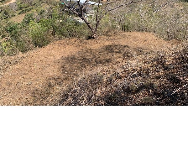 Potrero, ,Lots / Land,Under Contract,1038