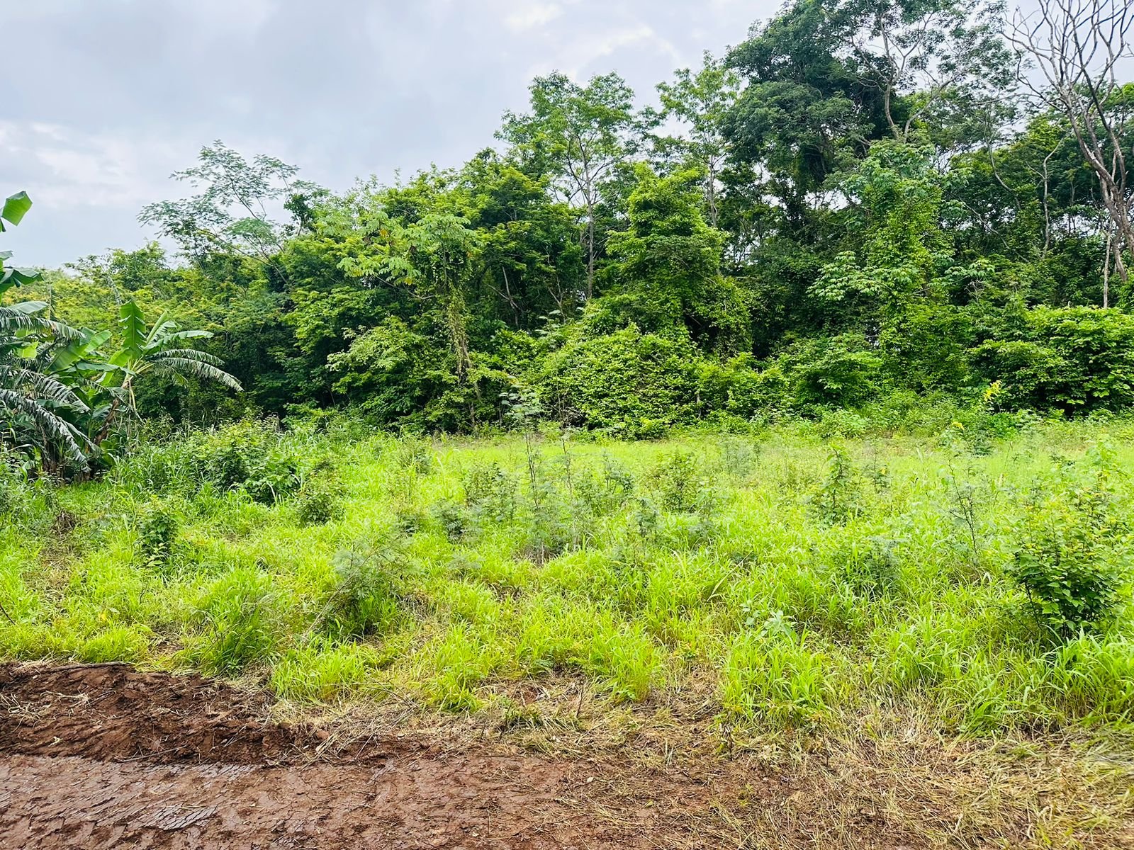 50308, ,Lots / Land,For Sale,1055